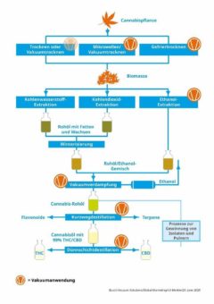 Vakuumtechnik bei der Gewinnung von Cannabinoiden