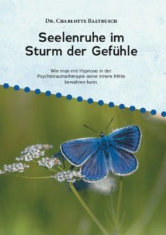 Eine Buch-Neuvorstellung des Romeon-Verlages: Seelenruhe im Sturm der Gefühle