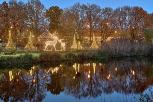 Stimmungsvoller Weihnachtsmarkt im Tierpark Nordhorn