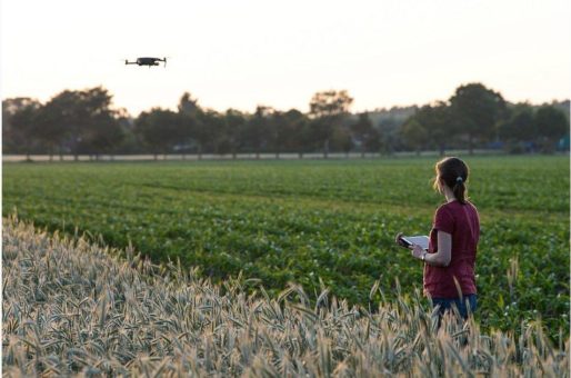 Bundeskabinett setzt Zukunftskommission Landwirtschaft ein