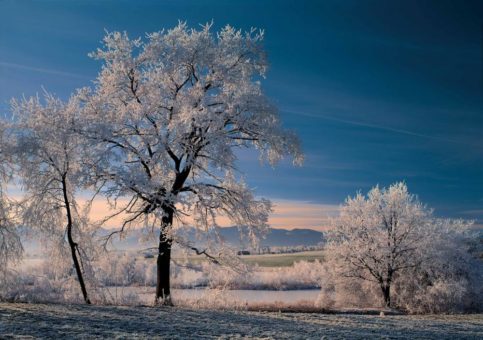 Die Kunstwerke der Natur entdecken: Winterwandern in der Zugspitz Region