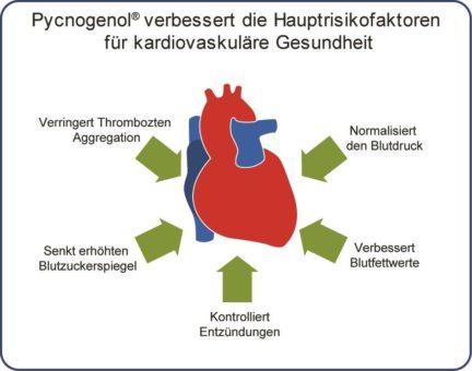 Verbesserte Herzgesundheit dank Meereskieferextrakt