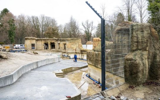 Hier wird gegraben und gebaggert: Bauprojekte in Hellabrunn