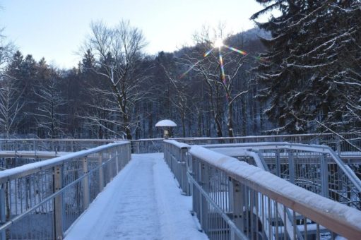 Öffnungszeiten des Baumwipfelpfades zu Weihnachten