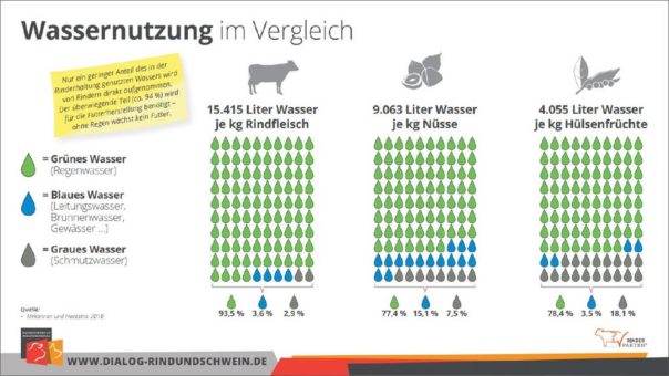 Rindfleischerzeugung trägt zur nachhaltigen Nutzung von Regenwasser bei