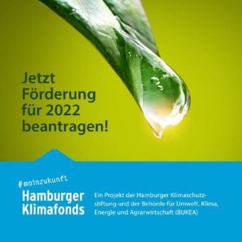 Gutes Geld für gute Ideen: #moinzukunft-Klimafonds stellt erneut 300.000 Euro für Klimaschutzprojekte zur Verfügung – neue Bewerbungsrunde gestartet