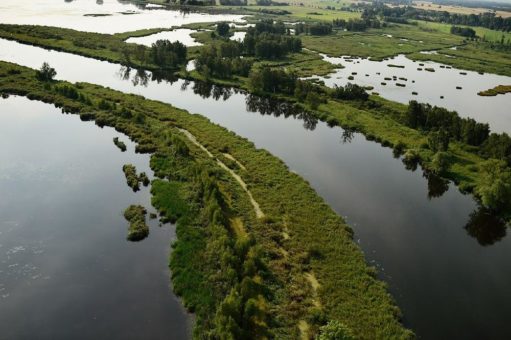 Kann „Rewilding“ die Erhaltung der Biodiversität mit nachhaltiger Regionalentwicklung verbinden?