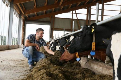 Agribusiness ist einer der bedeutendsten Wirtschaftszweige