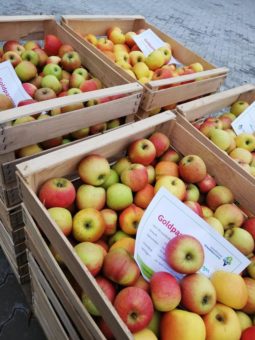 Streuobstlieferanten gesucht – Informationsveranstaltung am Donnerstag, den 27. Mai