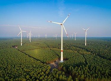 Oberberg/Südwestfalen: GELSENWASSER und VSB wollen Waldwindpark errichten