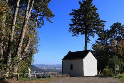 Neuer Moselsteig-Seitensprung „Wasserliescher Panoramasteig“ mit spektakulären Ausblicken