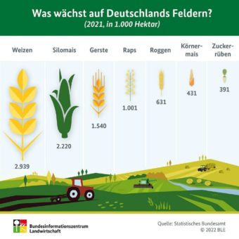 Auf einen Blick: Was wächst auf Deutschlands Feldern?