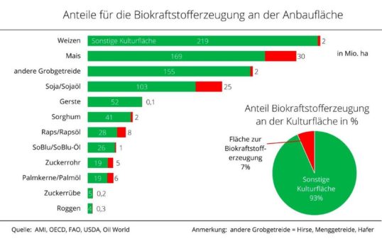 Rohstoff zur Biokraftstoffproduktion steht auf 7 % der Anbaufläche