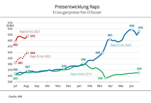 Steigende Rapspreise in der Ernte