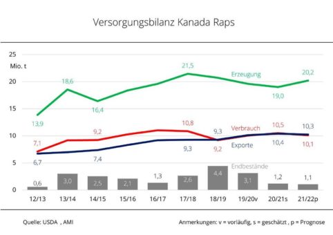 Hitze in Kanada verringert Rapsangebot