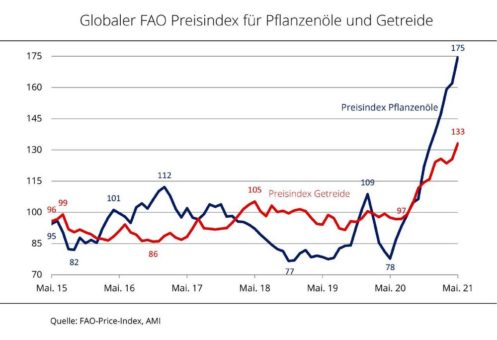 FAO-Pflanzenölindex auf 13-Jahreshoch