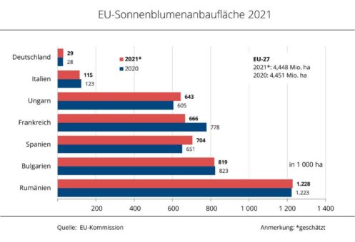 EU-Kommission erwartet größere Sonnenblumenernte bei stabiler Anbaufläche