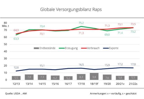 Globale Rapsversorgung bleibt angespannt