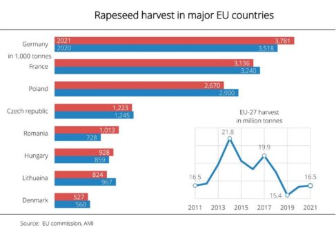 Germany remains the most important rapeseed producer in the EU