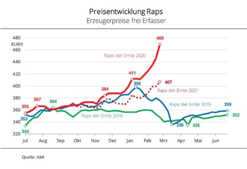 Rapspreise auf mehrjährigem Höchststand