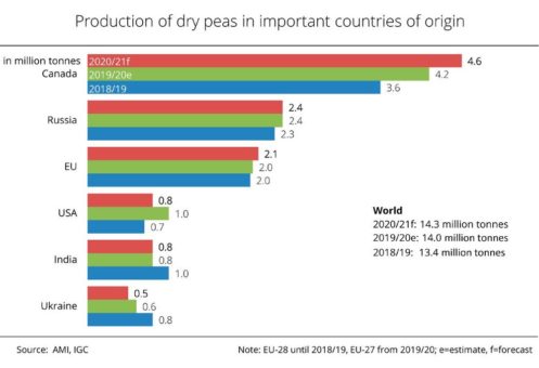 World harvest of dry peas increased