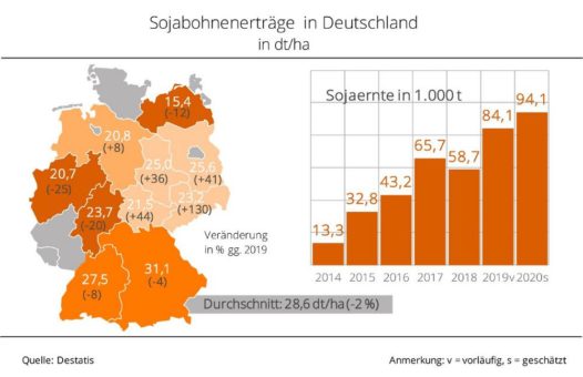 Deutsche Sojaernte 2020 auf Rekordniveau