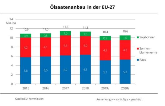 EU-Ölsaatenfläche nimmt leicht zu