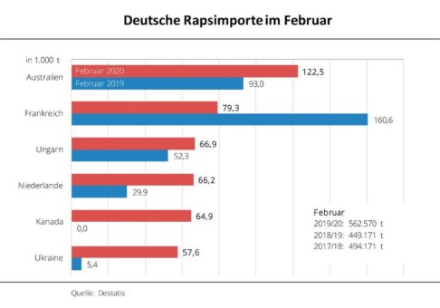 Anhaltend lebhafte Rapsimporte