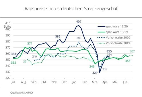 Ölmühlen zahlen mehr für Ernte 2020