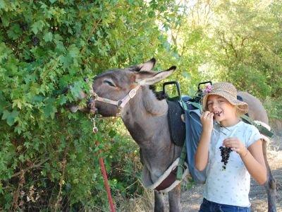 Nachhaltig reisen und wandern 2022