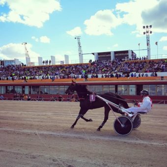 Reiten wird auf Mallorca großgeschrieben