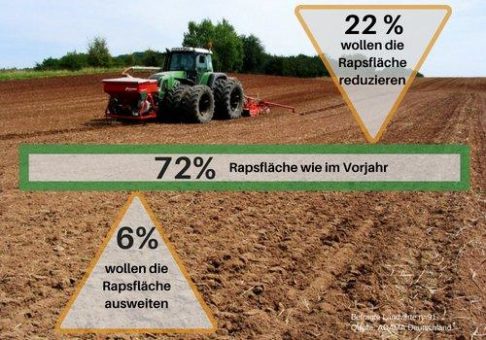 Die Trockenheit 2018 beeinflusst den Rapsanbau 2018/19