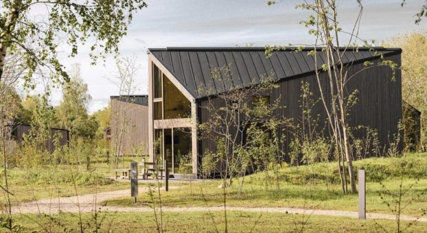 Neugrad: Neue Design-Cabins im Nationalpark Eifel