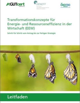 Neuer Leitfaden zur Bundesförderung von Transformationskonzepten in der EEW