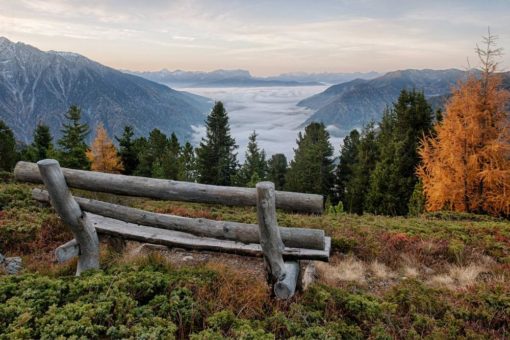 Bergbahnen FREE zum Bergfrühling im Ahrntal