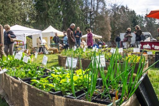 Pflanzen und Kunsthandwerkermarkt im Wildpark Müden am 02. und 03. April 2022