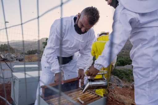 Ein Bienenparadies auf Kreta