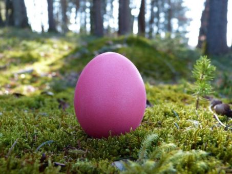 Ostereiersuche im Wald