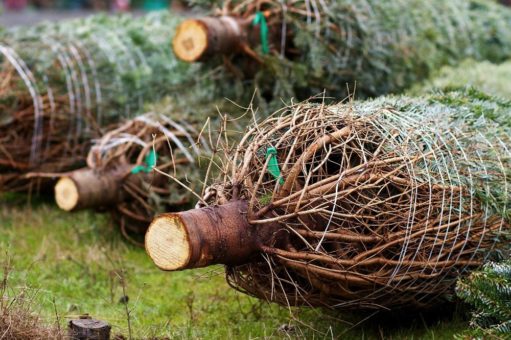 Weihnachten im Coronajahr