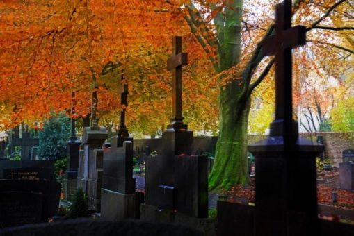 Friedhofskultur weiterentwickeln