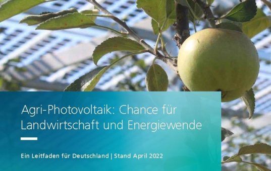 Auf landwirtschaftlichen Flächen doppelt ernten: Überarbeiteter Leitfaden zur Agri-Photovoltaik