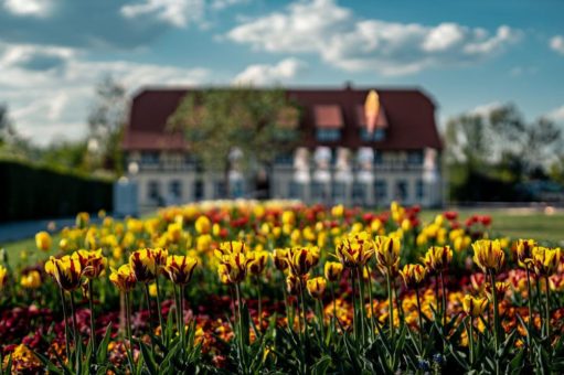 Frühlingserwachen im Bürger- und Miniaturenpark