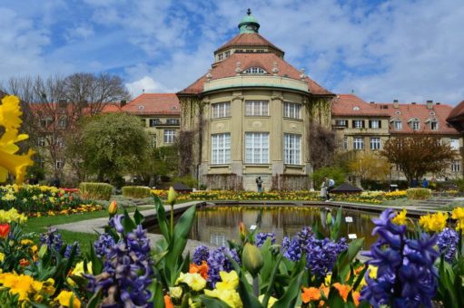 Geflüchtete Ukrainer:innen erhalten ab sofort kostenfreien Eintritt in den Botanischen Garten München-Nymphenburg