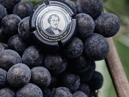 Charles Heidsieck: 200 years of liberty