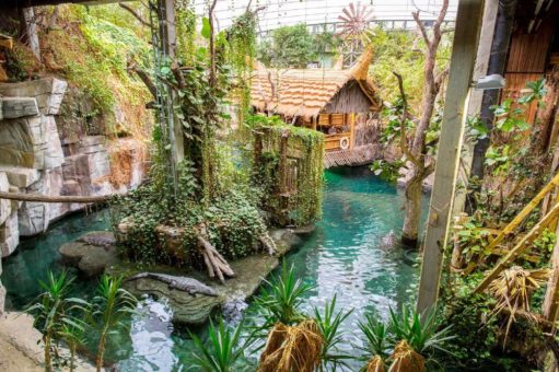 Das Tropen-Aquarium Hagenbeck feiert 15. Geburtstag