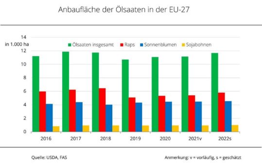 Europäische Ölsaatenerzeugung 2022/23 marginal über Vorjahr erwartet