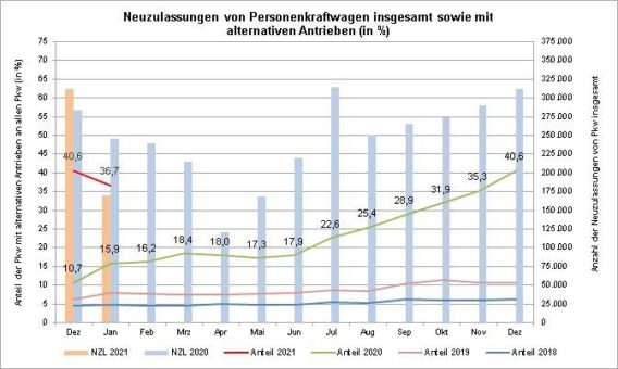 Neuzulassungen von Personenkraftwagen im Januar 2021 nach Marken und alternativen Antrieben