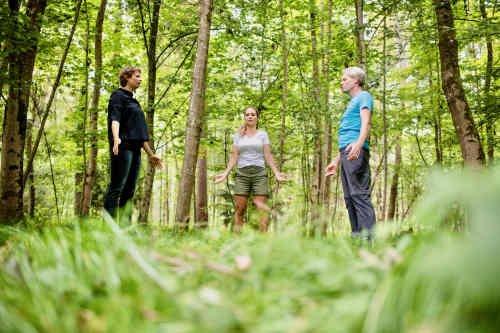 Waldbaden und Waldtherapie in Bad Füssing: Der Wohlfühlort Wald als neue, natürliche „Quelle der Gesundheit“