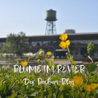 Bochum-Blog „Blume im Revier“ geht an den Start