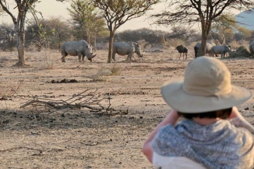 Lebenstraum Big Five: „Tierisch gute“ Wanderreisen in Afrika